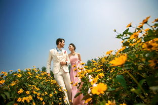 北京凯瑟琳婚纱摄影 个体经营