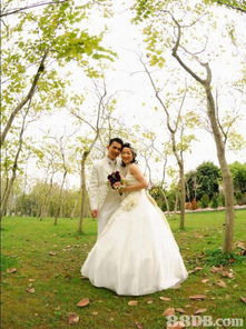 wedding.