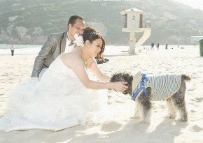 cs style专业摄影公司提供婚纱摄影,孕妇摄影,新娘化妆等服务